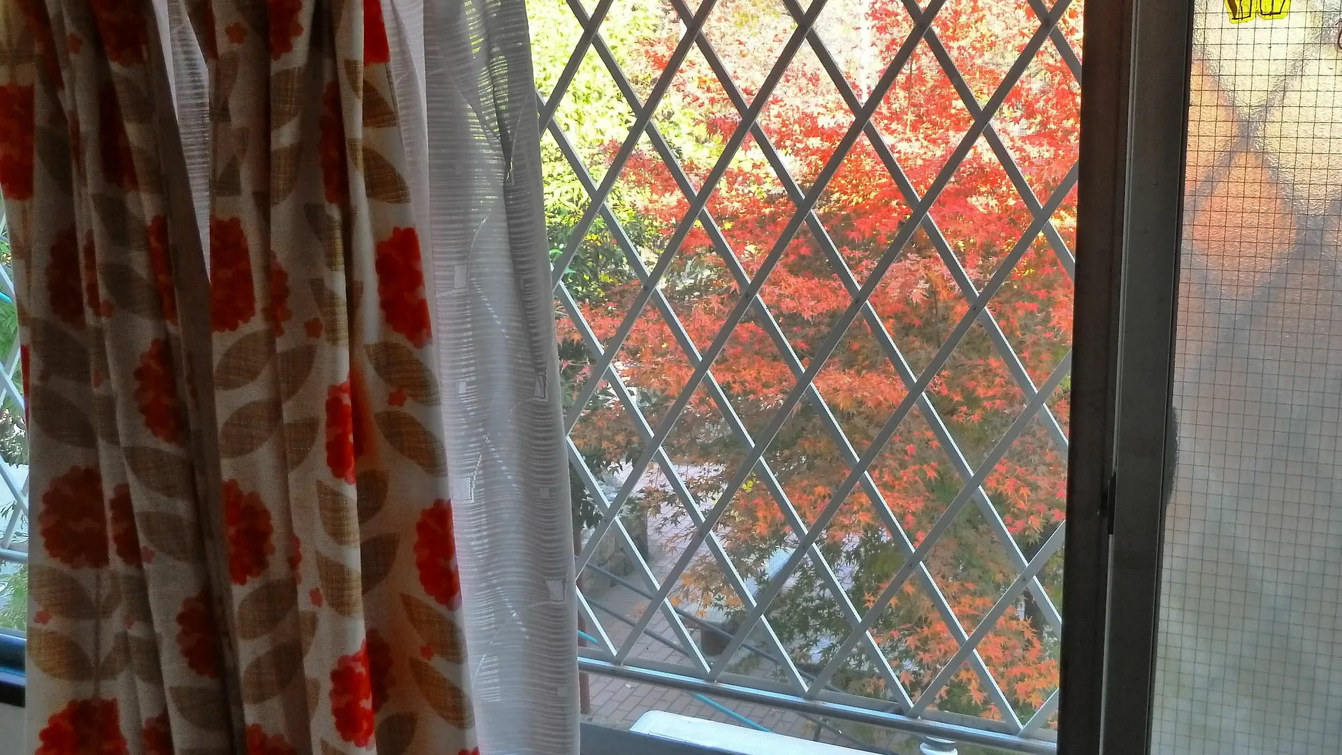 Guest House Neko Neko Toyonaka
